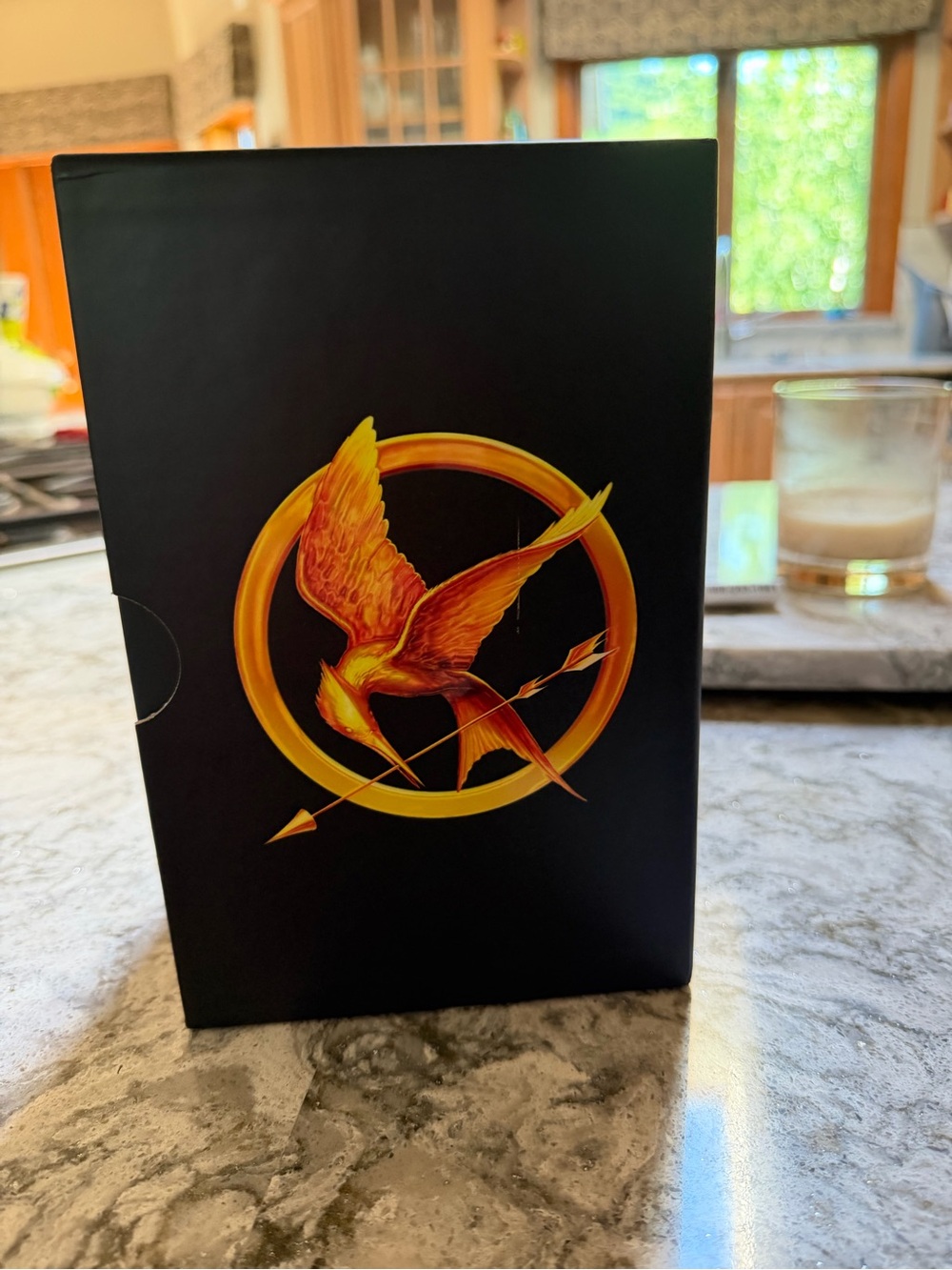 Scholastic The Hunger Games Trilogy Box Set - Black with Gold Red Blue Emblems - Picture 3 of 7